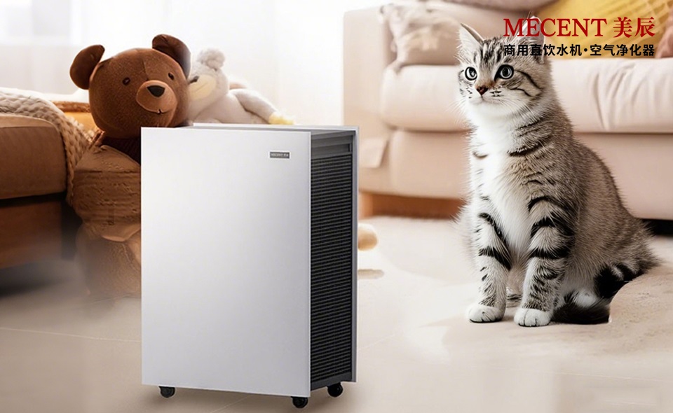 寵物家庭除味攻略：活性炭濾網(wǎng)真的能搞定寵物異味嗎？